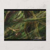 Waldland Postkarte (Vorderseite)