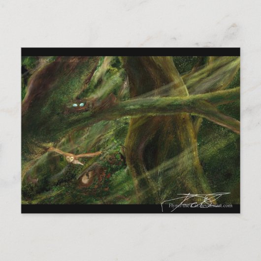 Waldland Postkarte (Vorderseite)