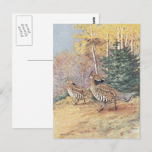 Waldland Ruffe Grouse Postkarte (Vorne/Hinten)