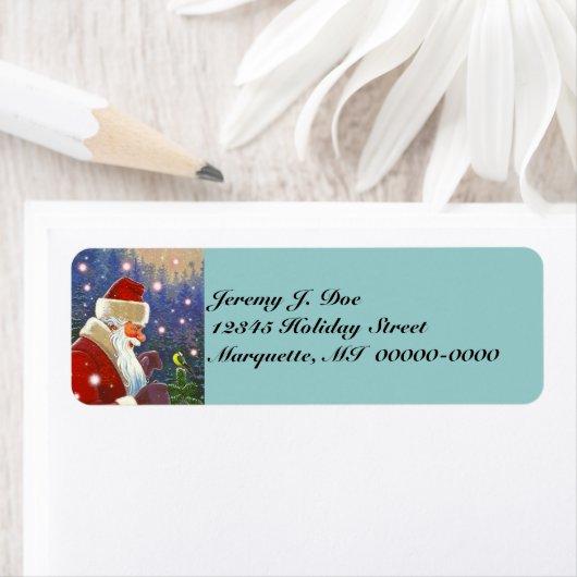 Waldland Santa & Natural Tree Topper Chickadee (Insitu)