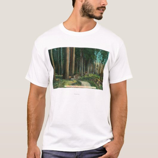 Waldland SceneEugene ODER T-Shirt (Vorderseite)