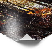 Waldland-Sonnenaufgangslandschaft, Plakat Fotodruck (Ecke)