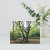 Waldland Sunshine Postcard Postkarte (Stehend Vorderseite)