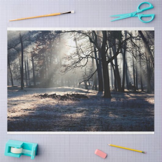 Waldlandschaft 23 Dekoupage Tissue Seidenpapier (Basteln)