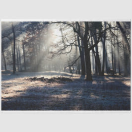 Waldlandschaft 23 Dekoupage Tissue Seidenpapier