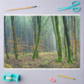 Waldlandschaft 25 Dekoupage Tissue Paper Seidenpapier (Basteln)