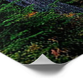 Waldlandschaft bei Sonnenuntergang mit üppiger Veg Poster (Ecke)