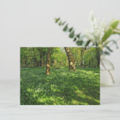 Waldlandschaft. Blackweir Woods, Cardiff Karte (Stehend Vorderseite)