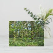 Waldlandschaft. Blackweir Woods, Cardiff Karte (Stehend Vorderseite)