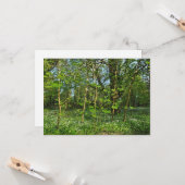 Waldlandschaft. Blackweir Woods, Cardiff Karte (Vorderseite/Rückseite Beispiel)