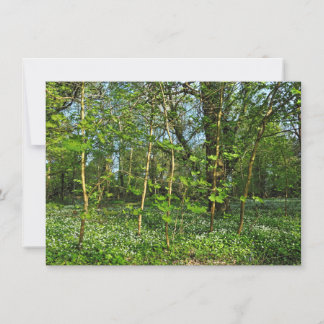 Waldlandschaft. Blackweir Woods, Cardiff Karte