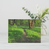 Waldlandschaft. Blackweir Woods, Cardiff Karte (Stehend Vorderseite)