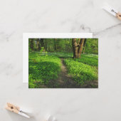 Waldlandschaft. Blackweir Woods, Cardiff Karte (Vorderseite/Rückseite Beispiel)