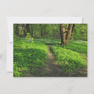 Waldlandschaft. Blackweir Woods, Cardiff Karte