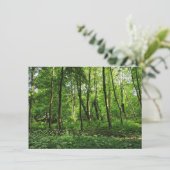 Waldlandschaft. Blackweir Woods, Cardiff Karte (Stehend Vorderseite)