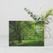 Waldlandschaft. Blackweir Woods, Cardiff Karte (Stehend Vorderseite)