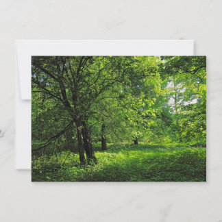 Waldlandschaft. Blackweir Woods, Cardiff Karte