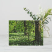 Waldlandschaft. Blackweir Woods, Cardiff Karte (Stehend Vorderseite)