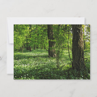Waldlandschaft. Blackweir Woods, Cardiff Karte