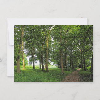 Waldlandschaft. Blackweir Woods, Cardiff Karte
