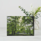 Waldlandschaft. Blackweir Woods, Cardiff Karte (Stehend Vorderseite)