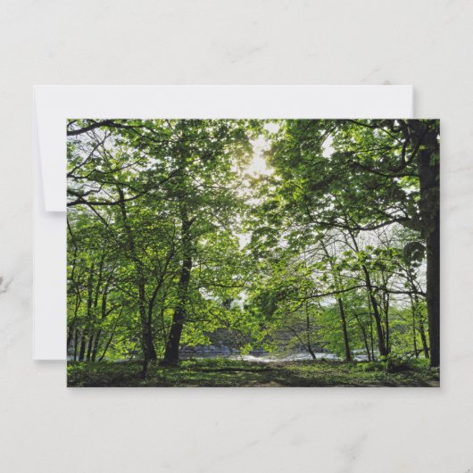 Waldlandschaft. Blackweir Woods, Cardiff Karte (Vorderseite)