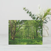 Waldlandschaft. Blackweir Woods, Cardiff Karte (Stehend Vorderseite)