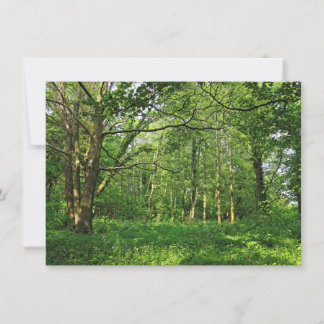 Waldlandschaft. Blackweir Woods, Cardiff Karte