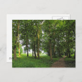 Waldlandschaft. Blackweir Woods, Cardiff Postcard Postkarte (Vorne/Hinten)