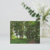 Waldlandschaft. Blackweir Woods, Cardiff Postcard Postkarte (Stehend Vorderseite)