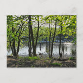 Waldlandschaft. Blackweir Woods, Cardiff Postcard Postkarte (Vorderseite)