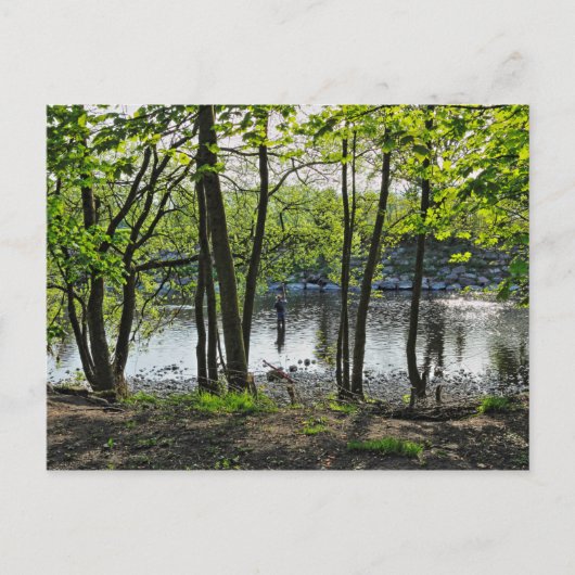 Waldlandschaft. Blackweir Woods, Cardiff Postcard Postkarte (Vorderseite)