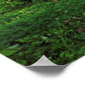 Waldlandschaft. Blackweir Woods, Cardiff Poster (Ecke)