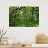 Waldlandschaft. Blackweir Woods, Cardiff Poster (Küche)