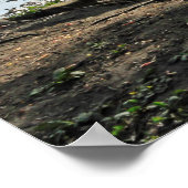 Waldlandschaft. Blackweir Woods, Cardiff Poster (Ecke)