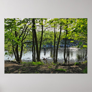 Waldlandschaft. Blackweir Woods, Cardiff Poster