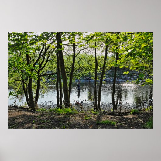 Waldlandschaft. Blackweir Woods, Cardiff Poster (Vorne)