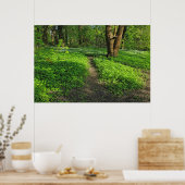 Waldlandschaft. Blackweir Woods, Cardiff Poster (Küche)