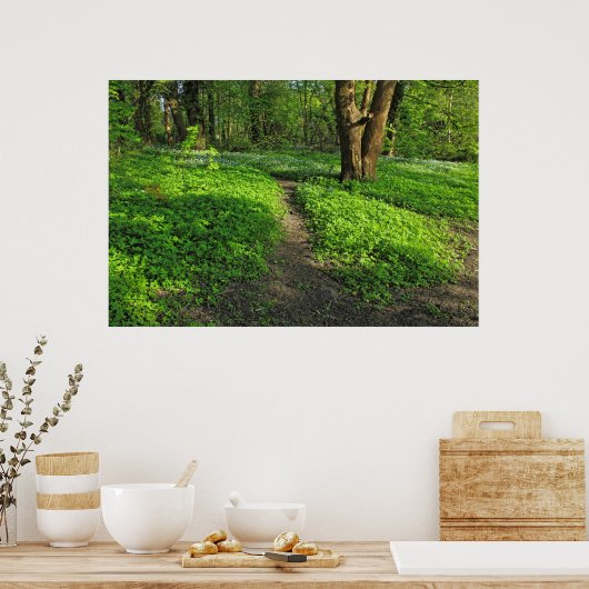 Waldlandschaft. Blackweir Woods, Cardiff Poster (Küche)