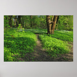 Waldlandschaft. Blackweir Woods, Cardiff Poster
