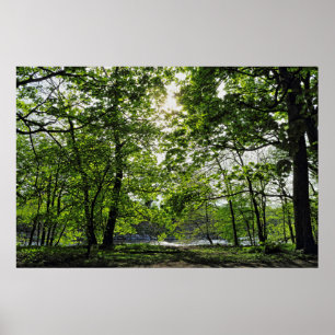Waldlandschaft. Blackweir Woods, Cardiff Poster