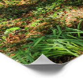 Waldlandschaft. Blackweir Woods, Cardiff Poster (Ecke)