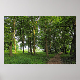 Waldlandschaft. Blackweir Woods, Cardiff Poster