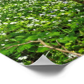 Waldlandschaft. Blackweir Woods, Cardiff Poster (Ecke)