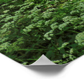 Waldlandschaft. Blackweir Woods, Cardiff Poster (Ecke)