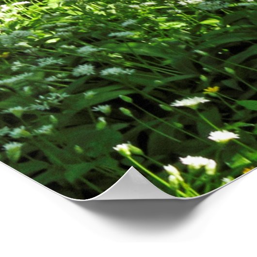 Waldlandschaft. Blackweir Woods, Cardiff Poster (Ecke)