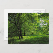 Waldlandschaft. Blackweir Woods, Cardiff Postkarte (Vorne/Hinten)