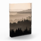 Waldlandschaft Foto (Links)