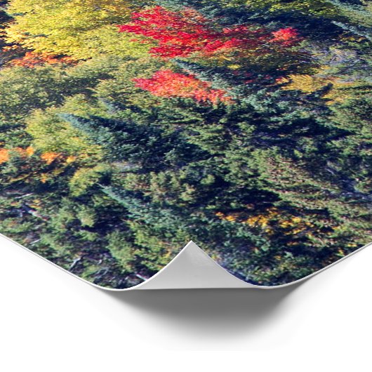 Waldlandschaft im Herbst Poster (Ecke)