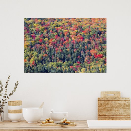 Waldlandschaft im Herbst Poster (Küche)